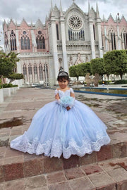 Appliqued Flower Girl Princess Dress