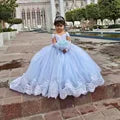 Appliqued Flower Girl Princess Dress