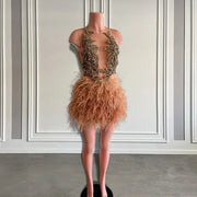 Brown Feather Dress 2024