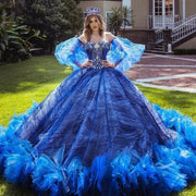 Stunning Princess Quinceañera Dress with Detachable Sleeves