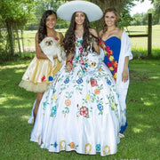 Luxury Embroidered Ball Gown Quinceanera Dress