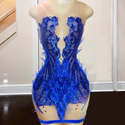 Royal Blue Feathered Birthday Dress 2023