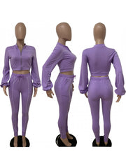 Pure Color Zipper Top And Trouser Women's Sets