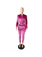 Velvet  Zipper Hooded Top And Pant Sets For Women