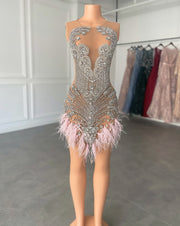 Sexy Short Prom Dresses 2023 Luxury Silver Crystals See Through Women Feather Cocktail Gowns For Birthday Party