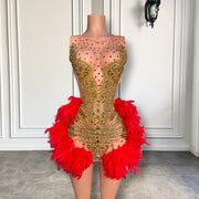 Dazzling Gold Diamond and Red Feather Accents Dress